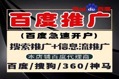 成功案例：一家SEM外包公司的成长与蜕变